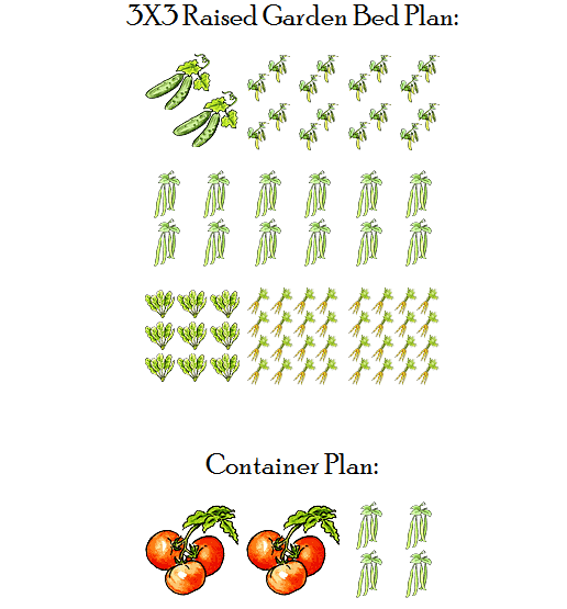vegetable bed plans
